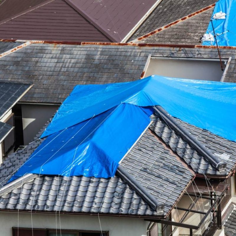 houses-with-damaged-tiled-roof-covered-with-blue-t-2023-03-09-16-00-21-utc